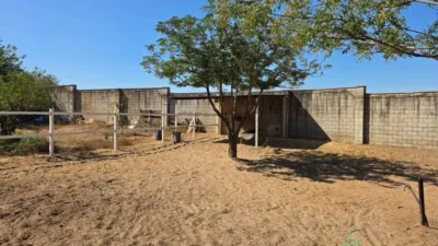 Chalet in Alcalá de Guadaíra photo 15