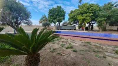 Chalet in Platja Muchavista photo 27