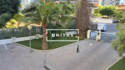 Apartment in Alicante - Alacant photo 35