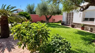 Chalet in Arcos de la Frontera photo 42