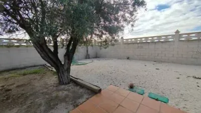 Chalet in Platja Muchavista photo 21