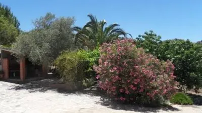 Rustic house in Almogía photo 4