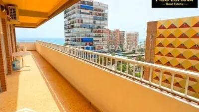 Apartment in Playa de San Juan photo 14