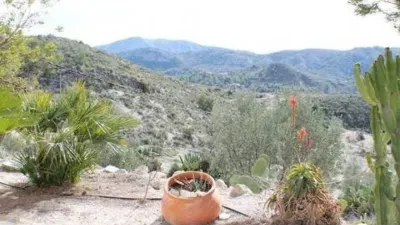 Chalet in Relleu photo 31