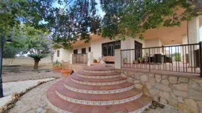 Chalet in Platja Muchavista photo 2