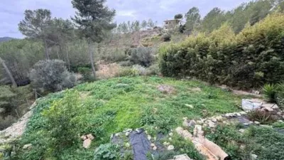 Chalet in Olivella photo 43