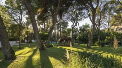 Piso en Calvià photo 24