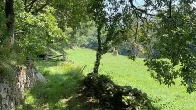 Rustic house in Barrio de Sel del Tojo photo 5