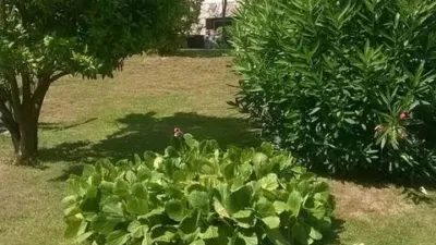 Chalet in Andra Mari photo 2