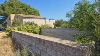 Rustic house in Muro photo 11