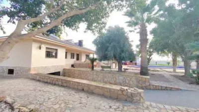 Chalet in Platja Muchavista photo 12