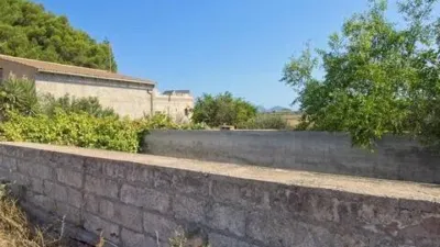 Rustic house in Muro photo 14