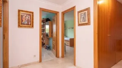 Apartment in Son Dureta photo 11