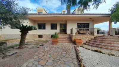 Chalet in Platja Muchavista photo 16