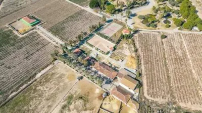 Rustic House in Novelda photo 57