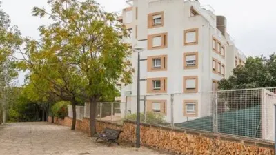 Apartment in Son Dureta photo 37