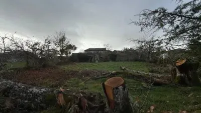Rustic house in Allariz photo 17