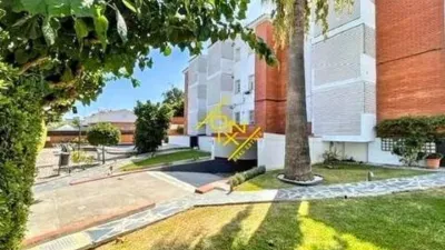 Apartment in Can Bou photo 26