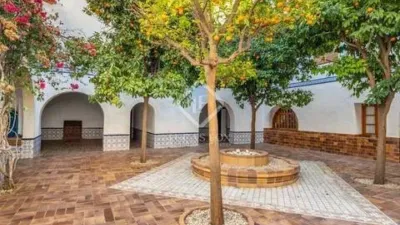 Rustic House in Novelda photo 34