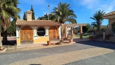 Chalet in Los Ramos photo 39