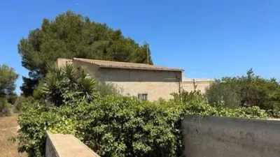 Rustic house in Muro photo 4