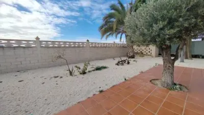 Chalet in Platja Muchavista photo 24