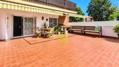 Apartment in Can Bou photo 3