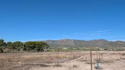 Rustic house in Salinas photo 7