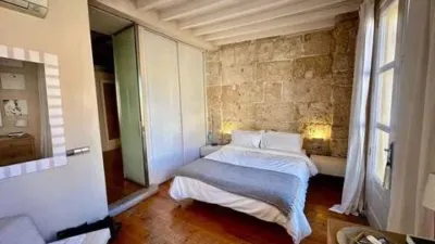 Apartment in La Llotja-Born photo 18