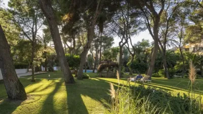 Apartment in Calvià photo 4