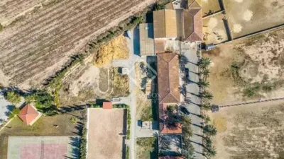 Rustic House in Novelda photo 55
