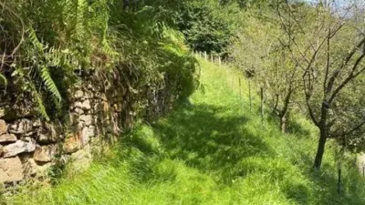 Rustic house in Barrio de Sel del Tojo photo 3