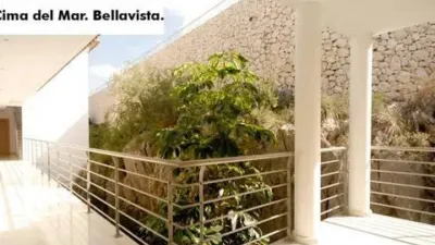 Apartment in Carrer de los Geranios photo 13
