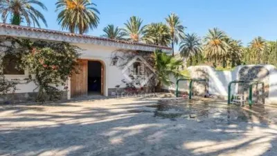 Rustic House in Novelda photo 47