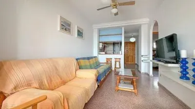 Apartment in Los Arenales del Sol photo 11