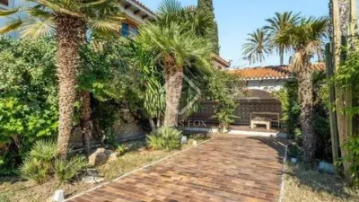 Rustic House in Novelda photo 50