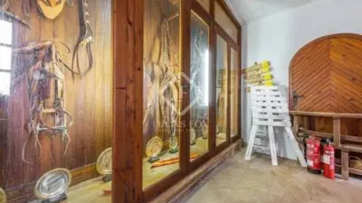 Rustic House in Novelda photo 45