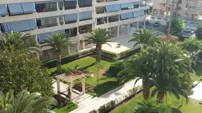 Apartment on Avenida de Holanda photo 13