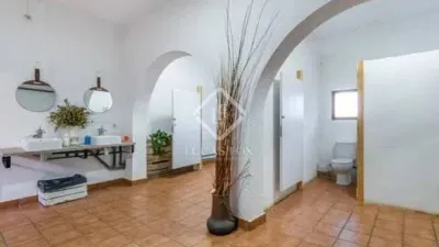 Rustic House in Novelda photo 43