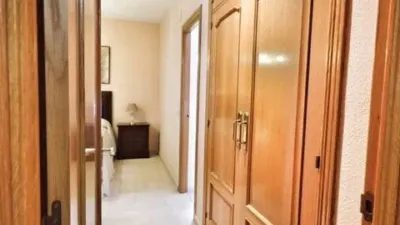 Apartment in Seville City Centre photo 17
