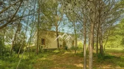 Rustic house in Establiments photo 8