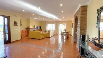 Chalet on Avenida de Pescia-La Noria-Pueblo Rocío photo 13
