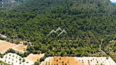 Rustic property in Algaida photo 11