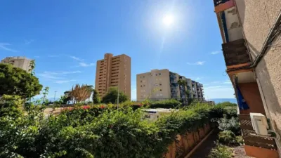 Apartment on Carrer de Pinós photo 22