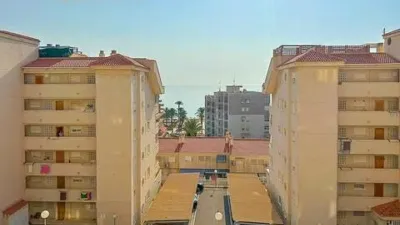 Apartment in Los Arenales del Sol photo 9