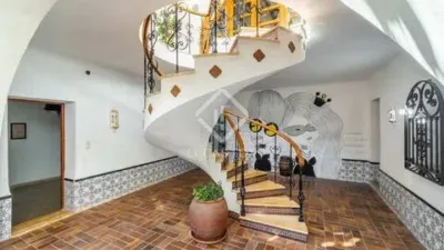 Rustic House in Novelda photo 35