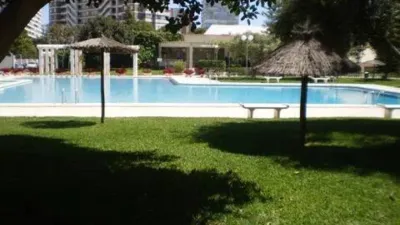 Apartment on Avenida de Holanda photo 10