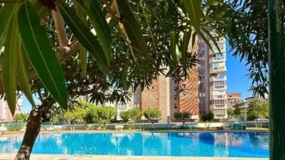 Apartment on Avenida de Bruselas photo 46
