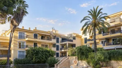 Apartment in Calvià photo 2
