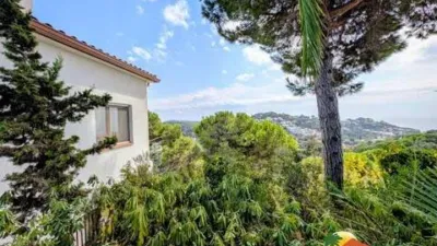 Chalet on Carrer de les Orenetes photo 35